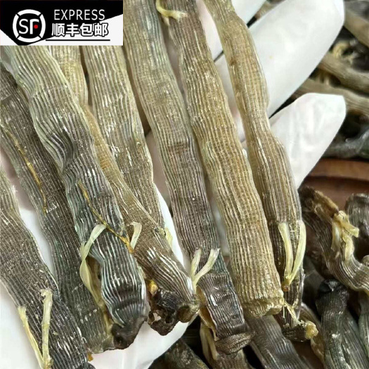 顺丰包邮特大北海沙虫干深海里的冬冬夏虫适合熬粥煮汤盐炒