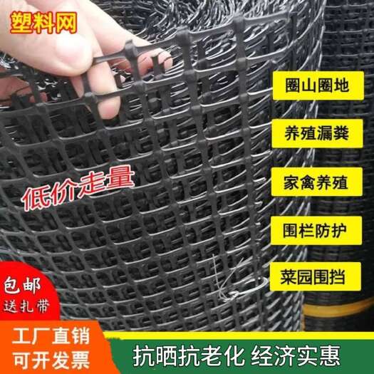 安平县加厚塑料养殖户外圈地围栏网拦鸡网大棚防兜水网圈玉米网胶网