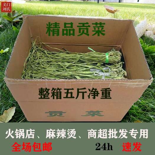 涡阳县义门特产贡菜（苔干）产地直销，无染无杂，量大从优，长年供应。