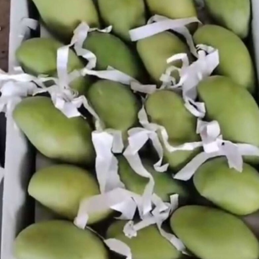 开远市越南玉芒