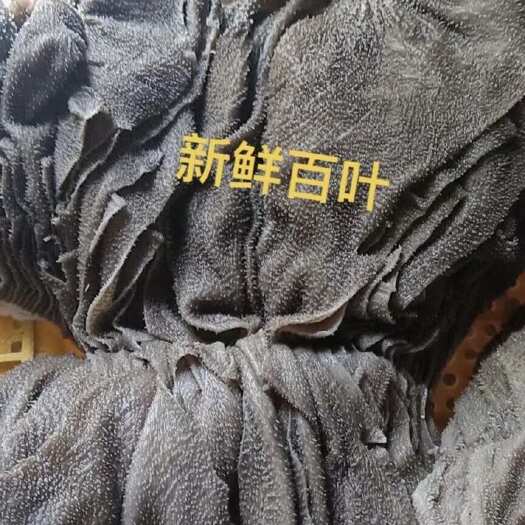 玉林屠场直供新鲜牛百叶批发