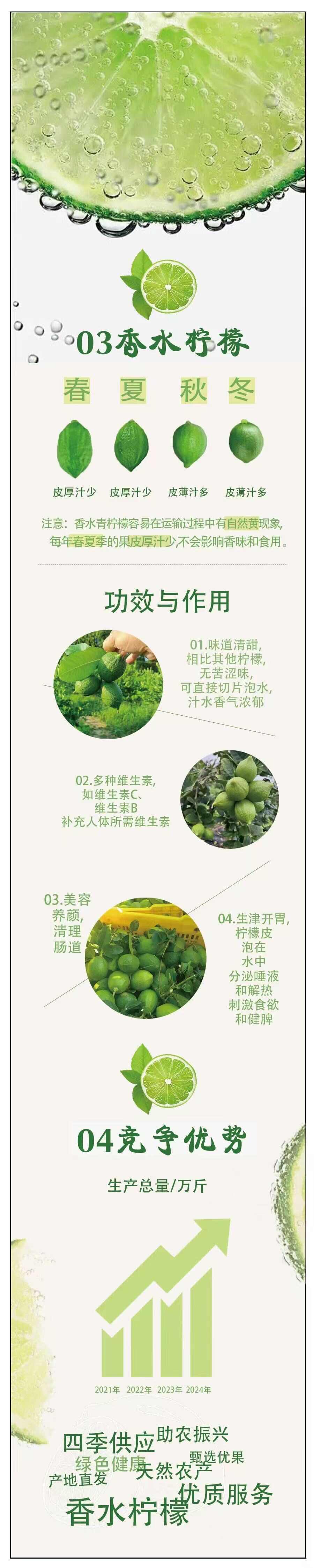 奶茶店專用廣東香水檸檬現(xiàn)摘現(xiàn)發(fā)全國(guó)發(fā)貨上午摘下午批發(fā)價(jià)