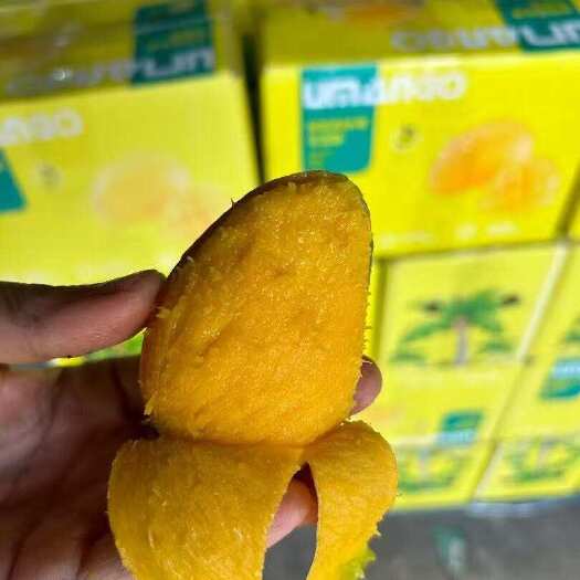 三亚海南台农芒支持一件代发
