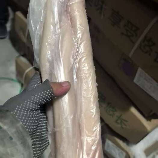 无根，精修大牛鞭，纯干无水发