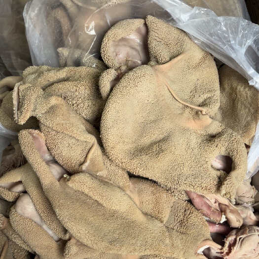 河间市羊肚，黄毛肚全熟五香