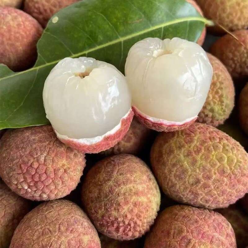 海南桂花香荔枝 现摘现发