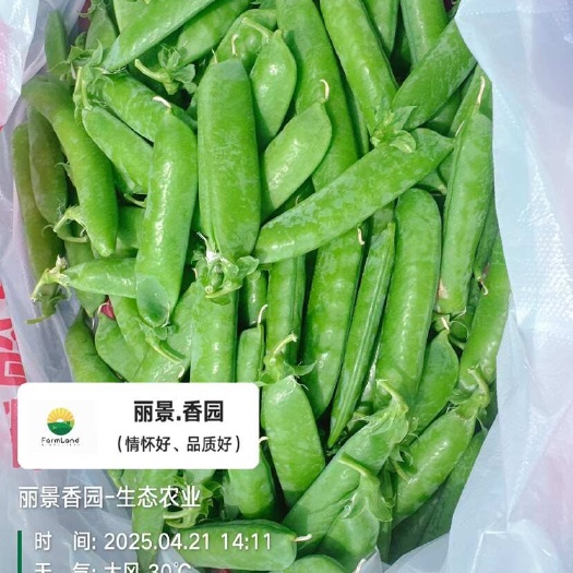 鲜果豌豆