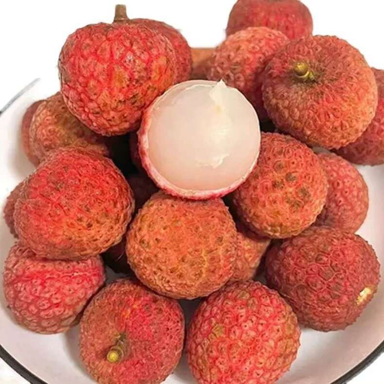海南桂花香荔枝 现摘现发