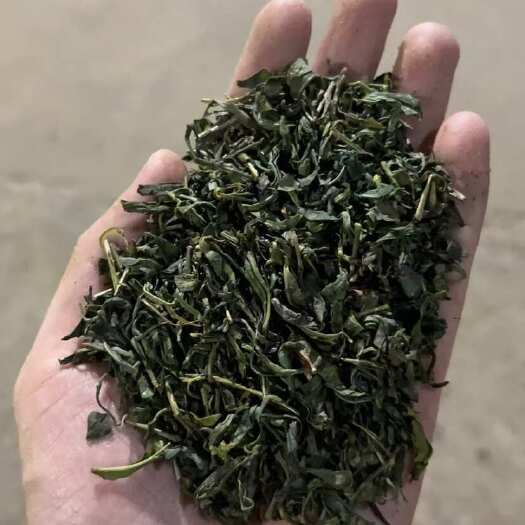 松阳县茶头