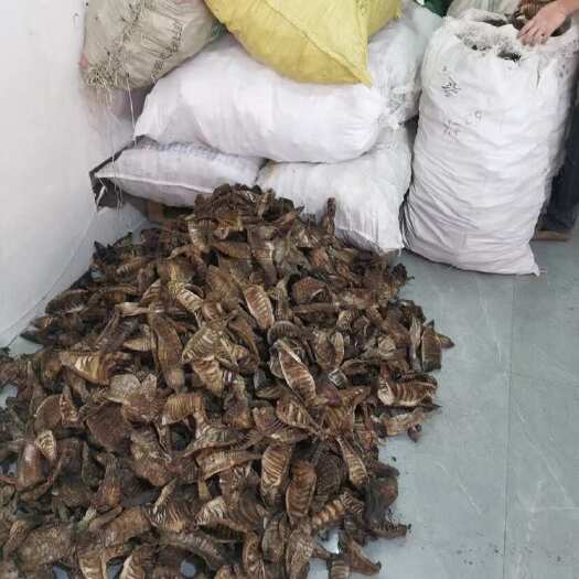 衡阳农家自制烟熏笋片烟笋干