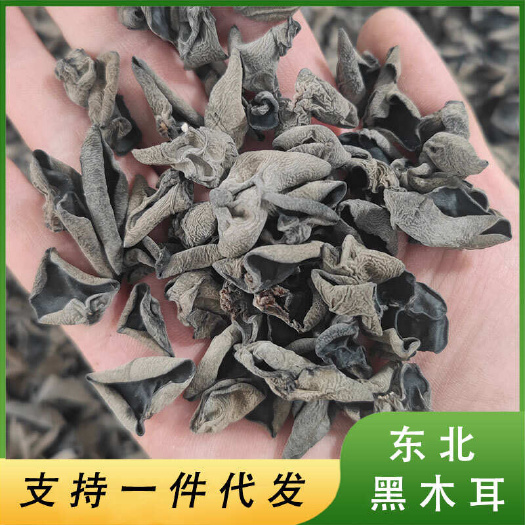 魯山縣精品東北黑木耳干貨批發(fā)肉厚無根展銷會商超小碗耳秋木耳批發(fā)電商