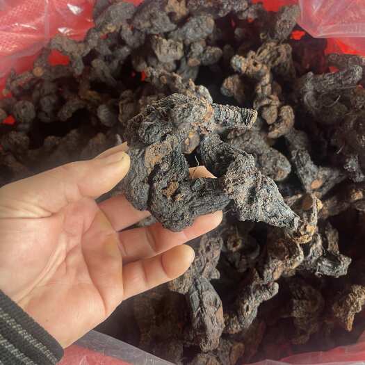 贺州九制黄精