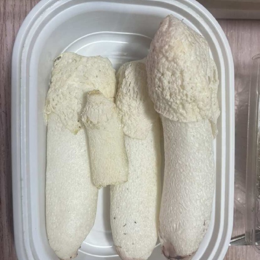 江苏无锡新鲜红托竹荪直供 绿色健康食材批发