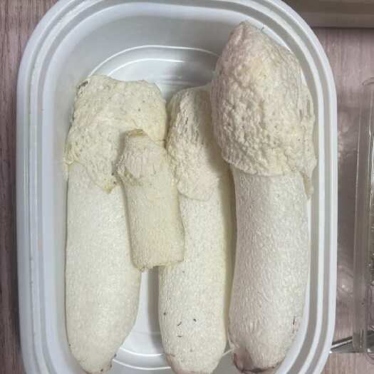 江阴市江苏无锡新鲜红托竹荪直供 绿色健康食材批发