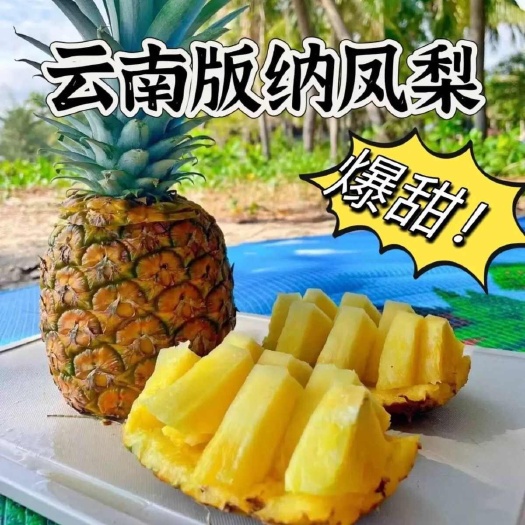 凤梨云南西双版纳凤梨