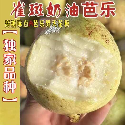 漳州福建奶油芭乐产地直发，可一件代发