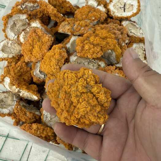 长丰县自然晾晒，金耳干品