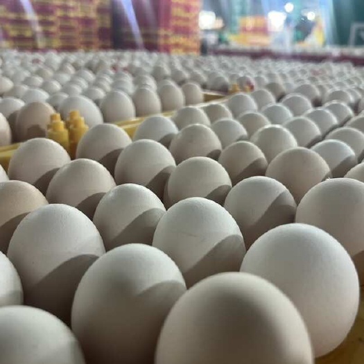 宜宾山勾勾农业，无抗鸡蛋，粮食投喂，40枚装