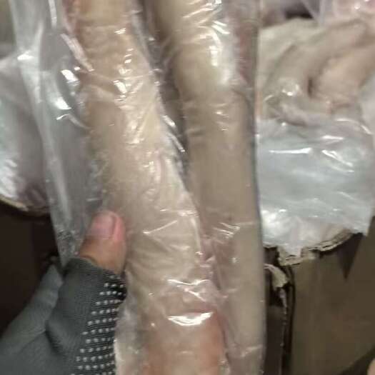 济南精品大牛鞭，纯干，无冰
