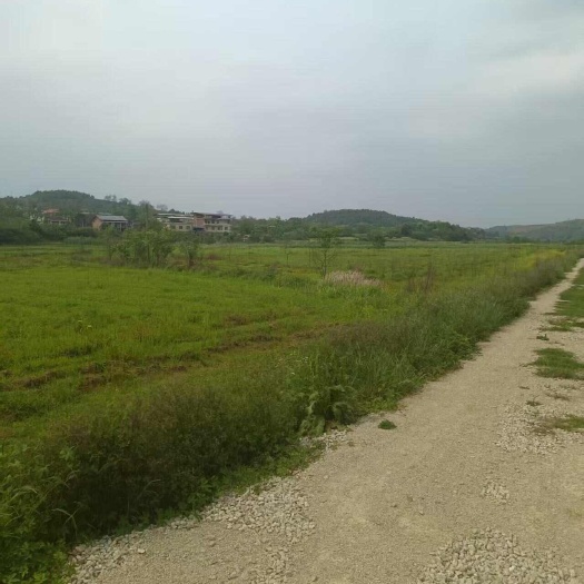 衡阳湖南衡阳地区  旱地村集体资源出租