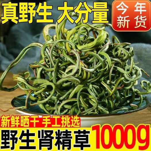 亳州化石草中药化石草无硫化石草茶正品紫蓝草包邮