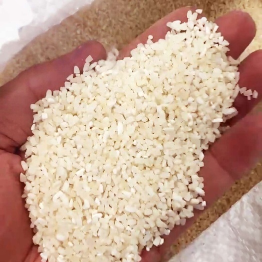 钦州缅甸白碎米，现款现货