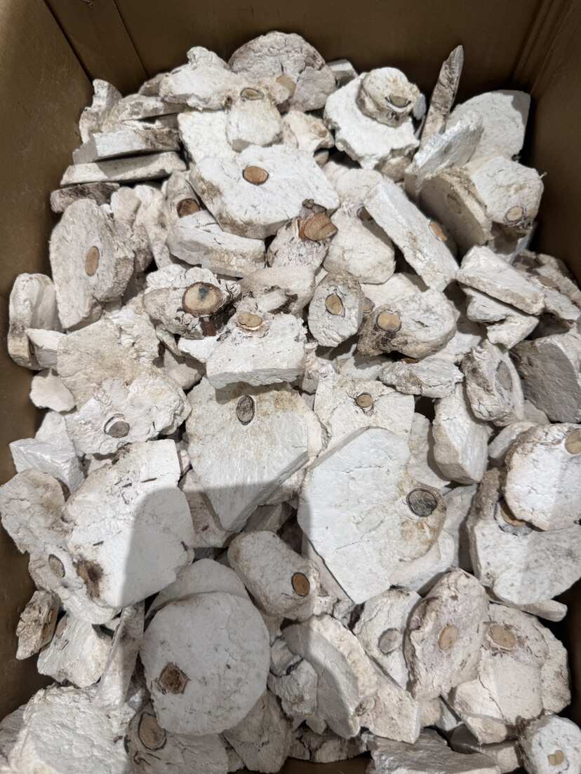 亳州谯城产茯苓片干货中药材滋补药材茯神批发零售