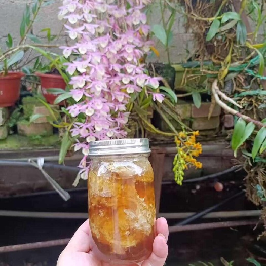 勐腊县版纳野生带巢蜂蜜，悬崖蜜，大挂蜜，树洞蜜