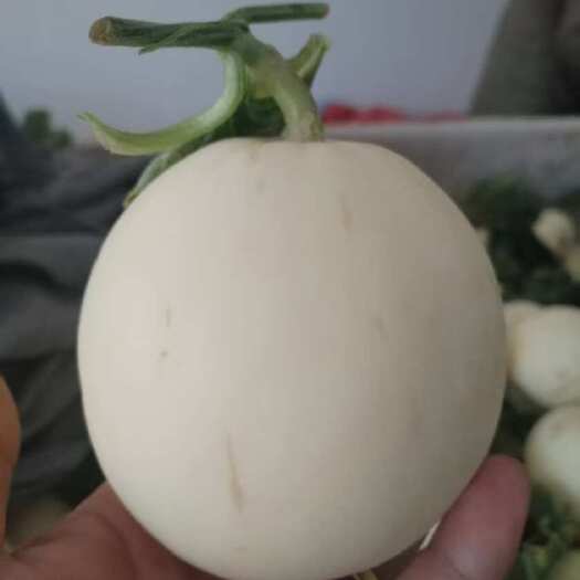 怀宁县精品白瓜