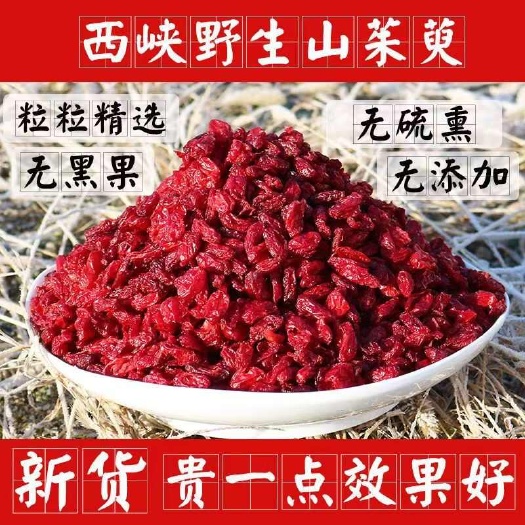 【山萸肉】中药材山茱萸杭山萸杭萸肉萸肉无硫山茱萸手选枣皮包邮