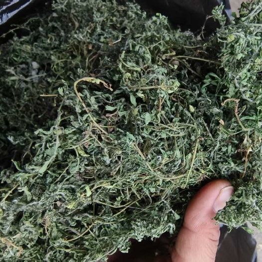 鹅不食草，田间地头采摘，人工挑选，自然晒干，无硫。品质保证