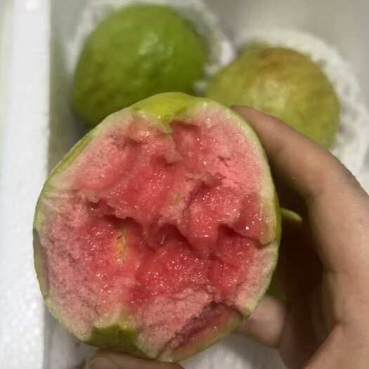 漳州福建精品红心芭乐一件代发20斤就是批发价