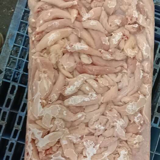 二级鸡小胸/鸡胸肉