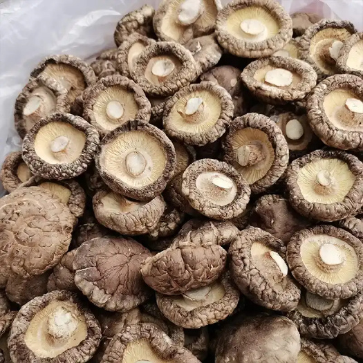 河南小香菇干货批发肉厚商超电商展销会金钱菇干货一件代发光面菇