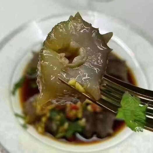 广州【一手货源】大连即食海参