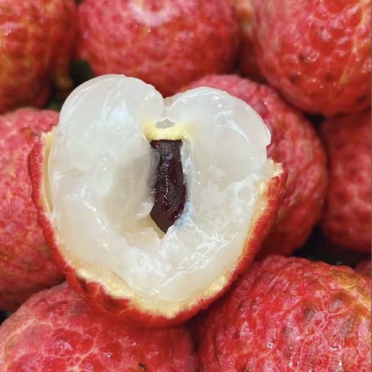 广州今年新增的几百棵老树糯米糍！增城仙村的