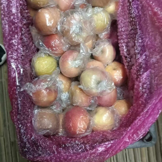 万荣县山西万荣红富士纸包膜