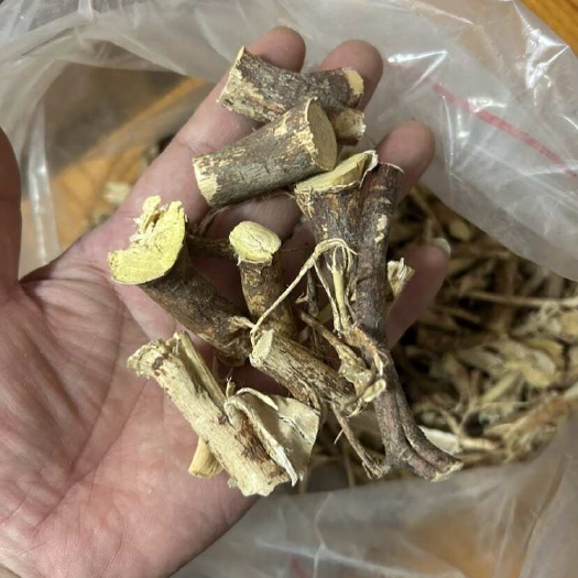 台山市五指毛桃