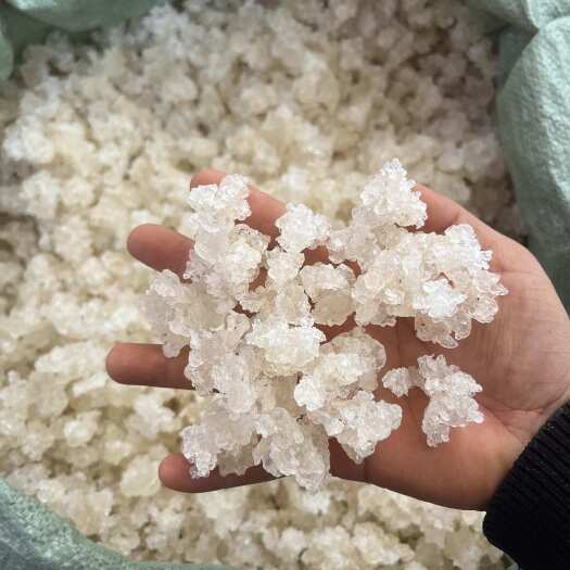 昆明雪燕