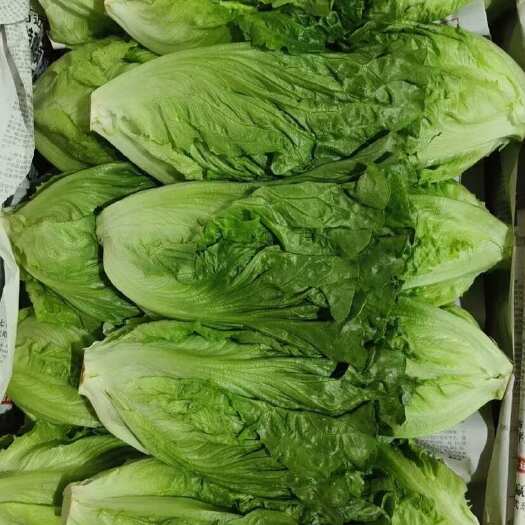 深圳云南精品意大利