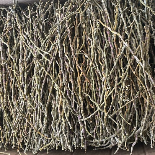昆明铁皮石斛干条大货批发