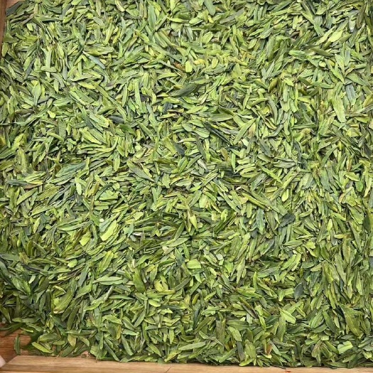 德阳明前早春绿茶片