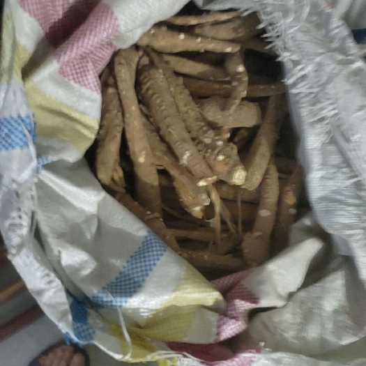 菏泽白芷通货