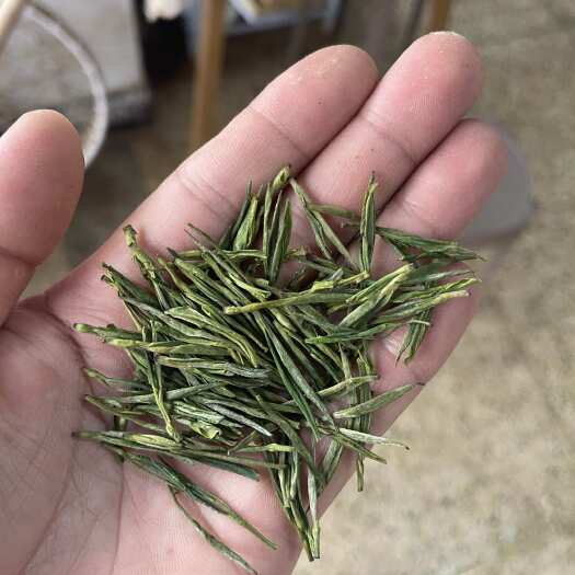 松阳县浙江松阳一级白茶 春季采摘 清鲜口味 曲螺形绿茶 散装茶叶