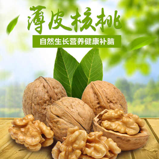 阿拉尔市新疆阿拉尔薄皮核桃新鲜采摘天然美味干果坚果批发