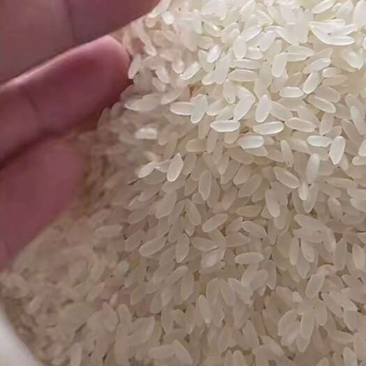 桦南县黑龙江长粒香米 新米 保证质量