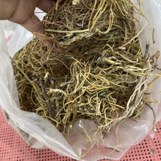 昆明龙胆草大货批发一手货源