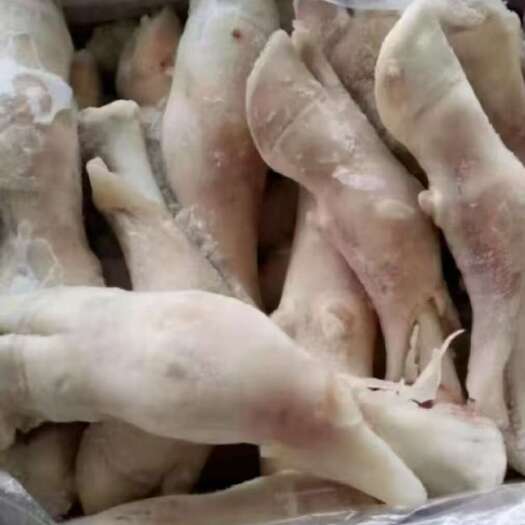 滑县乳牛犊牛净头蹄