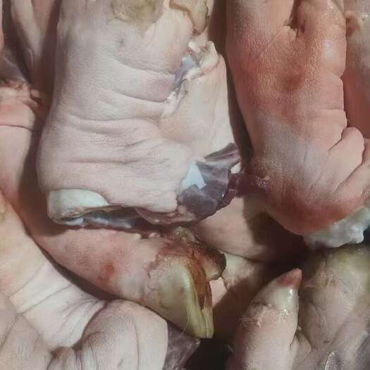 昆明猪脚猪脚，各种猪脚都有