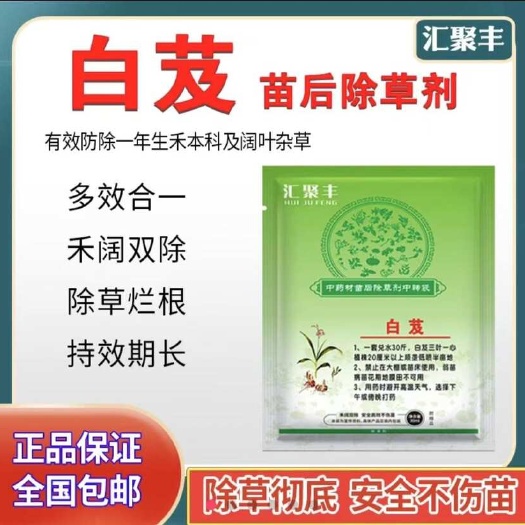 长沙白芨除草剂 白芨苗后除草剂高效除草 禾阔双除不伤苗